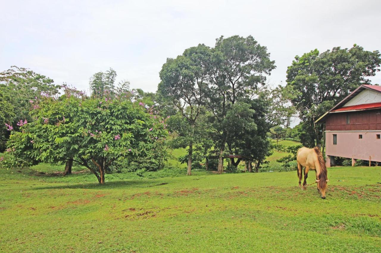 Caliraya Resort Club Lumban Luaran gambar